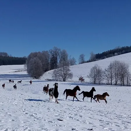 Hotel Lidmiluv Mlyn *